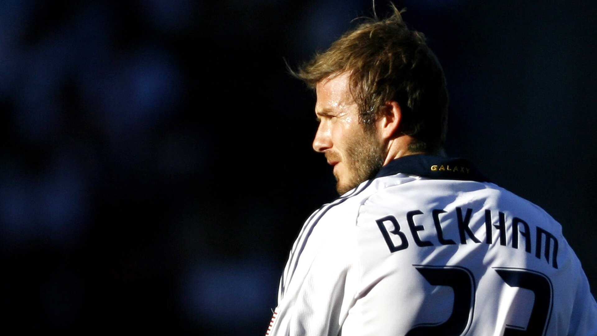 _新能源动力飞行器体验：飞跃天际的新尝试_，会飞的新能源汽车